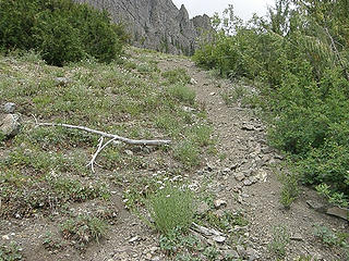Possible bootpath the hard way up to Buckhorn from Marmot Pass trail.