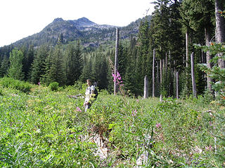 Todd in the meadow area w/our route above & beyond