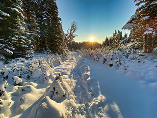 Sunrise on the trail