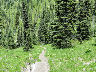 Crystal Lakes trail.