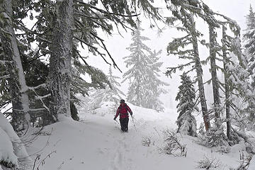 Blizzardy conditions on ridge line