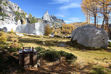 Enchanted toilet