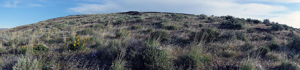 Climbing out of the Columbia gorge / Wanapum Lake area.