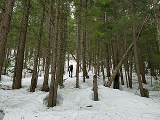 Wide open travel on lower mountain