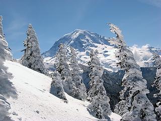 Rainier