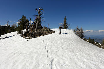 Hannah walking the ridge.