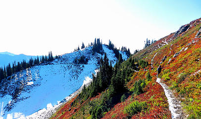 heading back on the High Divide with the Hoh Lake trail iin the distance