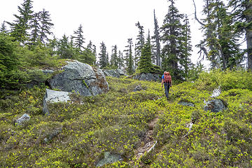 The way trail continued intermittently most of the way up the ridge