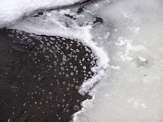 Bubbles in creek