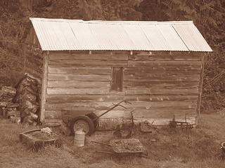 Harstene Island Shed