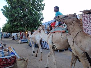 Nubian Village