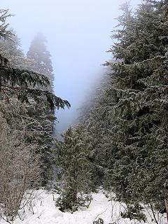 Looking up avalanche debris to blue mist