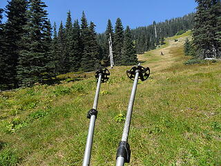 Looking back up the second meadow, trekking poles pointing to the route down (entered the meadow from the above left).