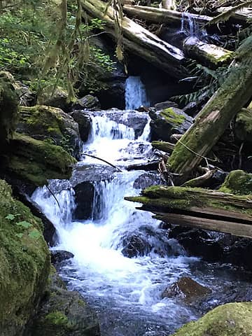 Silver creek waterfall