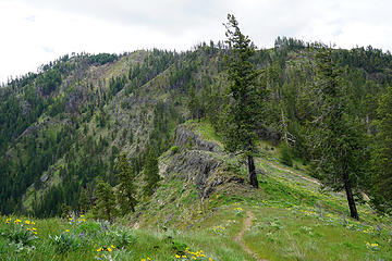 We had so many open sections with mountain views once again obscured by clouds in the typical pattern.