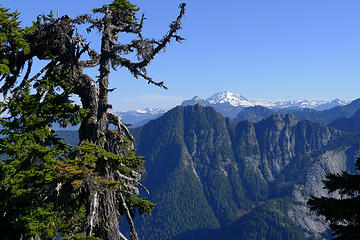 Glacier Peak from Higher Squire