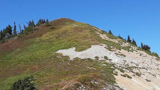 Top of Breccia, one of the few smooth grassy summits in the Cascades