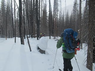 skinning out in the snow