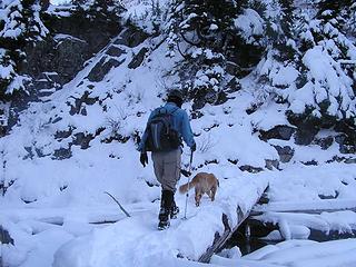 Barry and Gus crossing log bridge with little difficulty