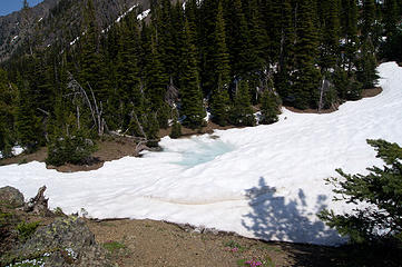 pond on Charlia way trail