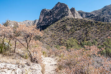 McKittrick Canyon 1.30.21