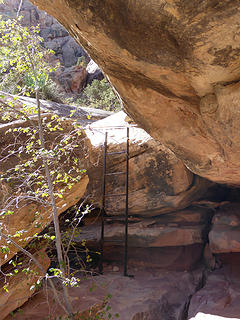 On one section, there was a ladder and metal bar to help you get up the rock.