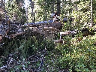 Boundary Trail at Frosty Creek, Slate Pass, Buckskin Ridge, Frosty Pass, PCT Loop, 8/12-8/19/20