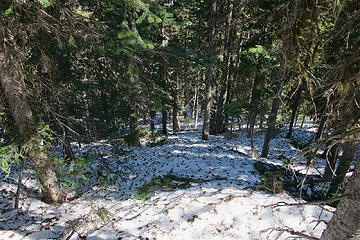 DCG_8996 - looking back down the ridge