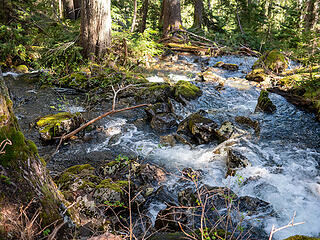 Goat Creek near the outlet from Horseshoe Lake. It temporarily splits into two channels here