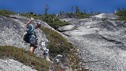 descending markhor