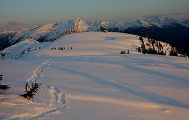 Sourdough tracks in evening late