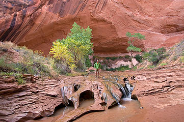 Coyote Gulch