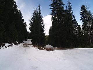 Junction to Pole Ridge and Meadow Creek.  4/1/10