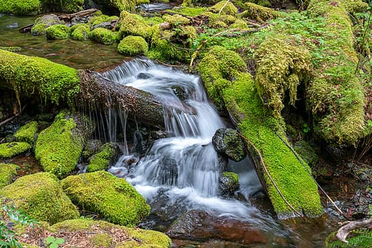 Cascades on Copper Creek