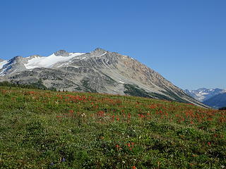 Wildflowers...yawn