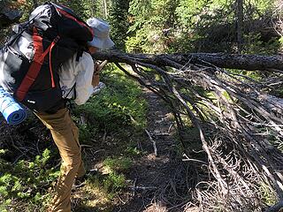 Boundary Trail at Frosty Creek, Slate Pass, Buckskin Ridge, Frosty Pass, PCT Loop, 8/12-8/19/20