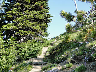 Nearing site of old lookout on Crystal Peak.