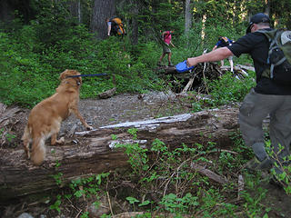 Second stream crossing.