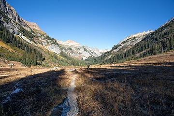 Spider Meadows