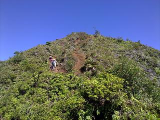 Steep Trail near Mt. Olympus