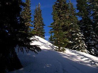 Coming out of the trees.