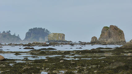 Ozette loop 161