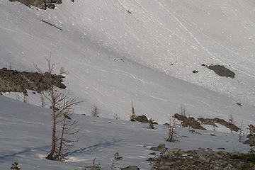 Ski tracks coming down from Silver Pass