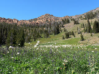 Bean Peak from Bean Basin, 7.29.07.