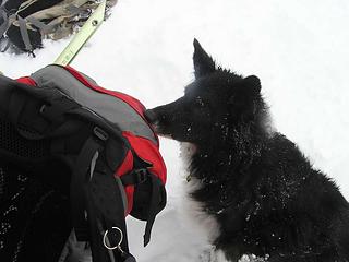 Logan checking for snacks