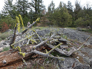 Mike near Juniper Point LO wreckage