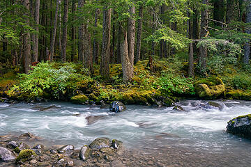 Dungeness River