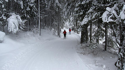 Barb skiing on MVCT