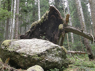 Lower Marmot Pass trail.