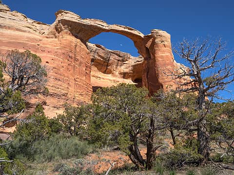 Rattlesnake Arch